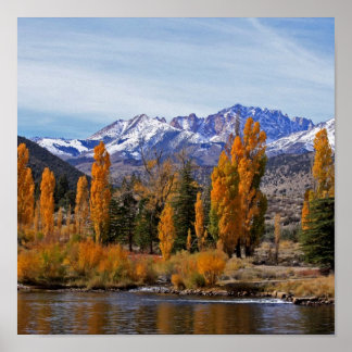Pôster Sierra Autumn