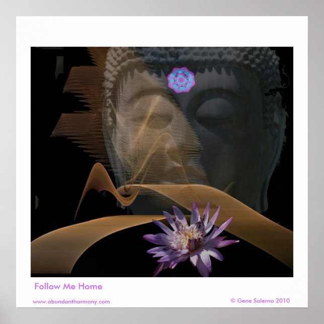 Poster Siga-me para casa (Frente)