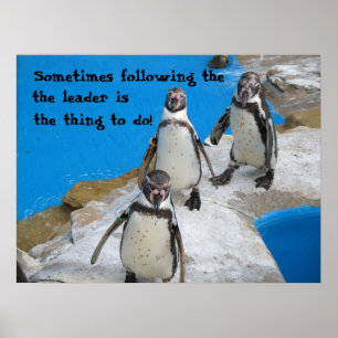 Pôster Siga o líder