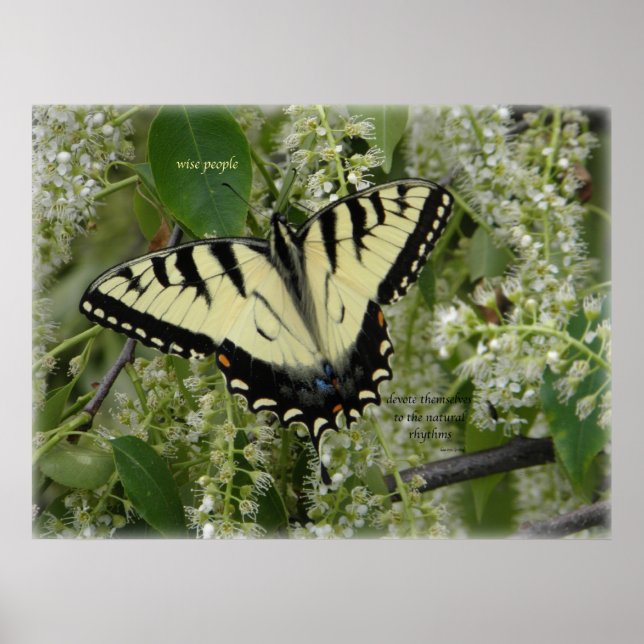 Pôster SIGH_ets_loa_P5140161g (Frente)