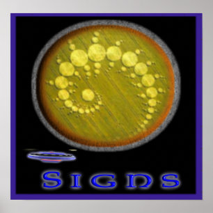 Pôster sighnsposter
