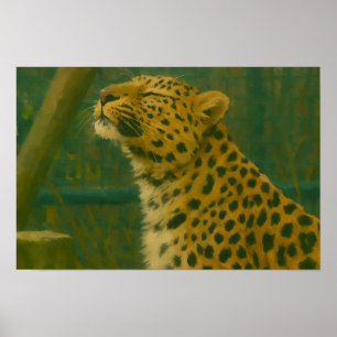 Poster Silêncio iluminado por Sol - Colapso de Leopardo n