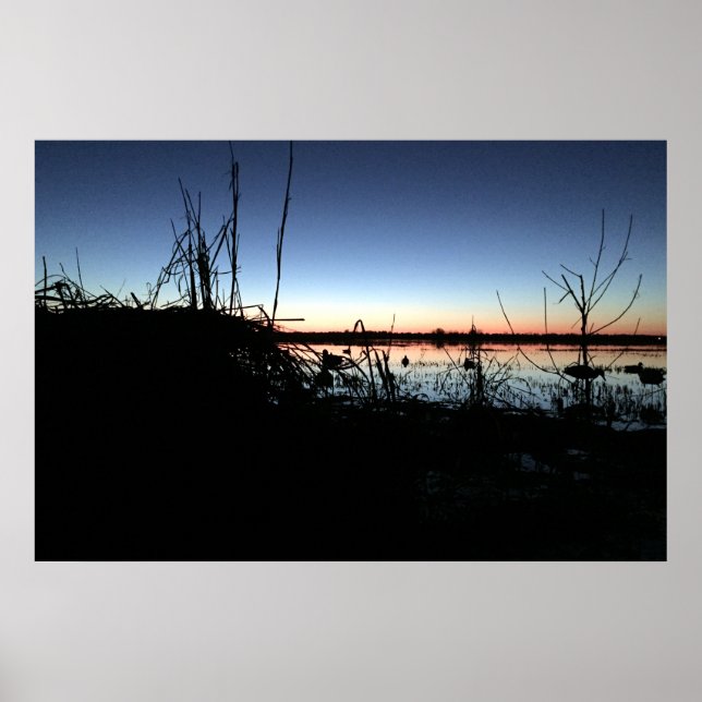 Pôster Silêncio no cego de Duck do Arkansas (Frente)