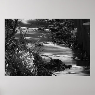 Pôster Silent creek