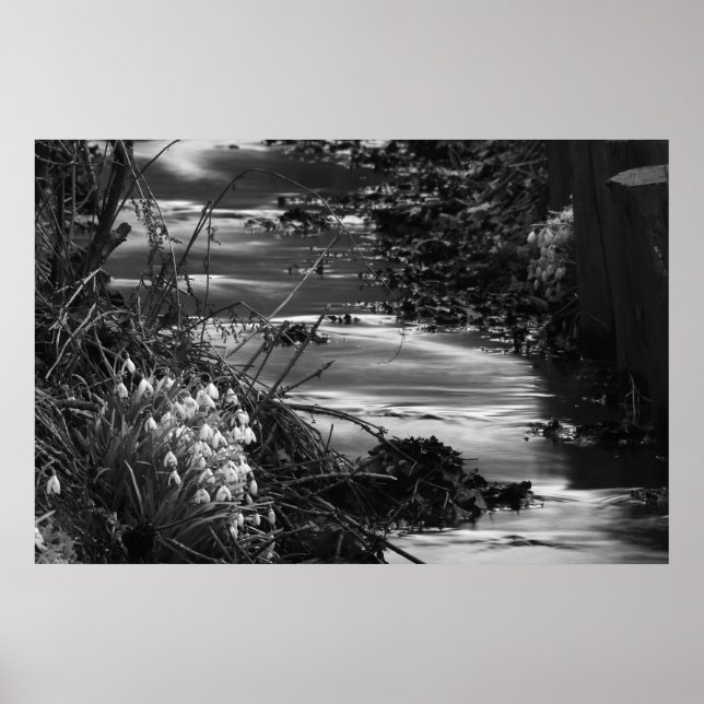 Pôster Silent creek (Frente)