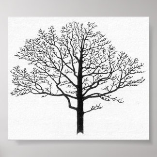 Poster Silhouette de Árvore