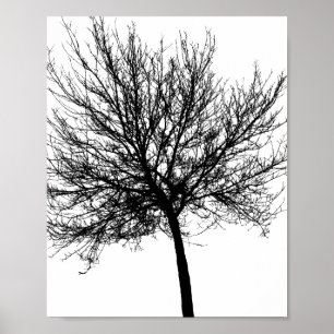Poster Silhouette de Árvore