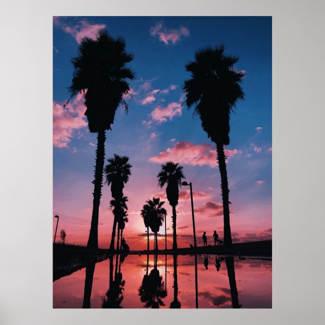 Poster Silhouette de árvore sob céu nublado (Frente)