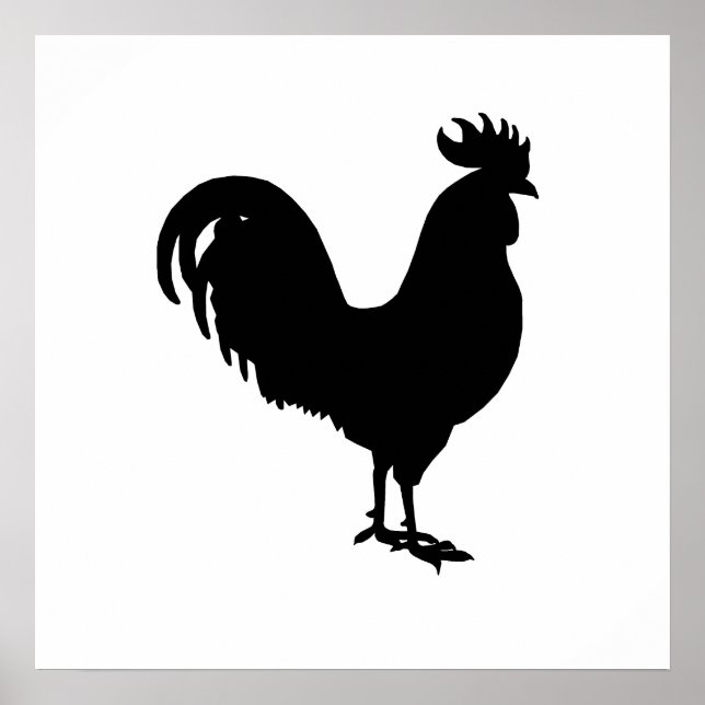 Pôster Silhouette Rooster (Frente)