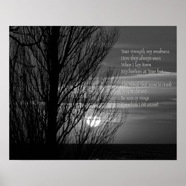 Pôster Silhouette Winter Tree Inspiration (Frente)