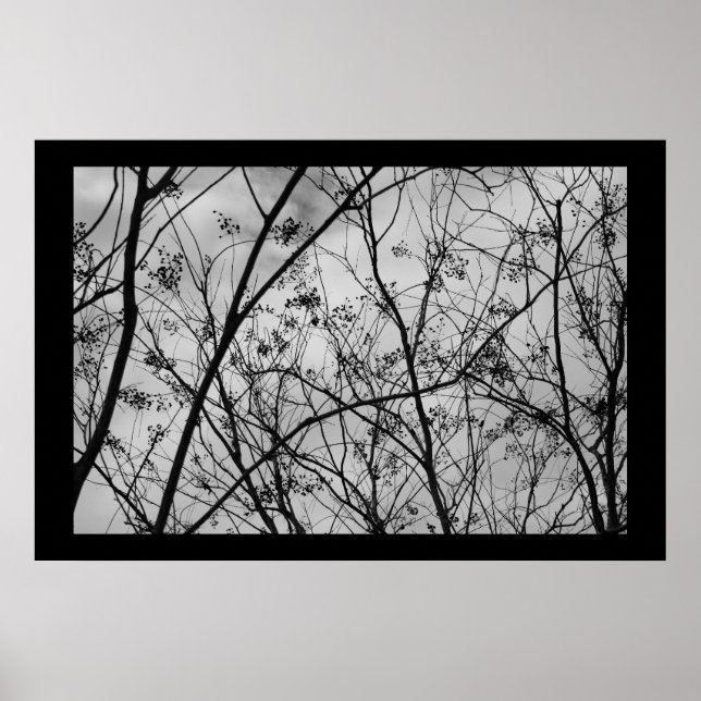 Poster Silhouettes (Frente)