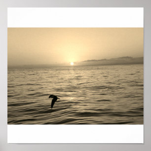 Poster silhueta assombrosa lançada no pôr do sol
