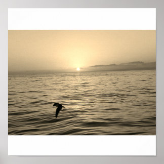 Poster silhueta assombrosa lançada no pôr do sol