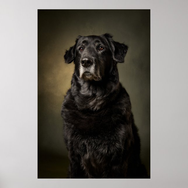 Poster Silhueta de Cachorro Elegante (Frente)