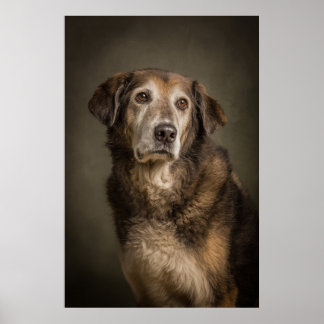 Poster Silhueta de Cachorro Elegante