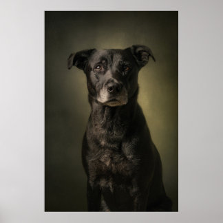Poster Silhueta de Cachorro Elegante