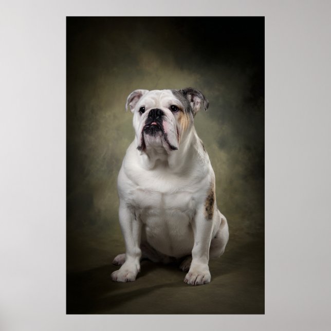 Poster Silhueta de Cachorro Elegante (Frente)