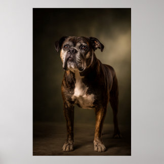 Poster Silhueta de Cachorro Elegante
