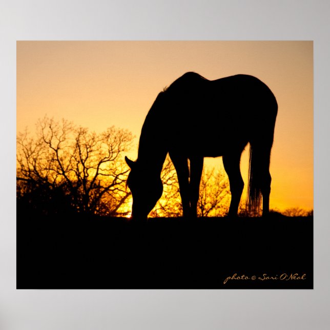 Poster Silhueta de Cavalo Soldado (Frente)
