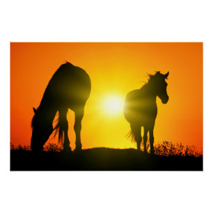 Pôster Silhueta de dois cavalos no por do sol