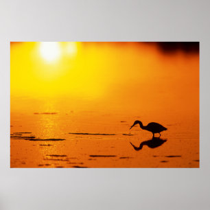 Poster Silhueta de garça ao pôr do sol, Flórida