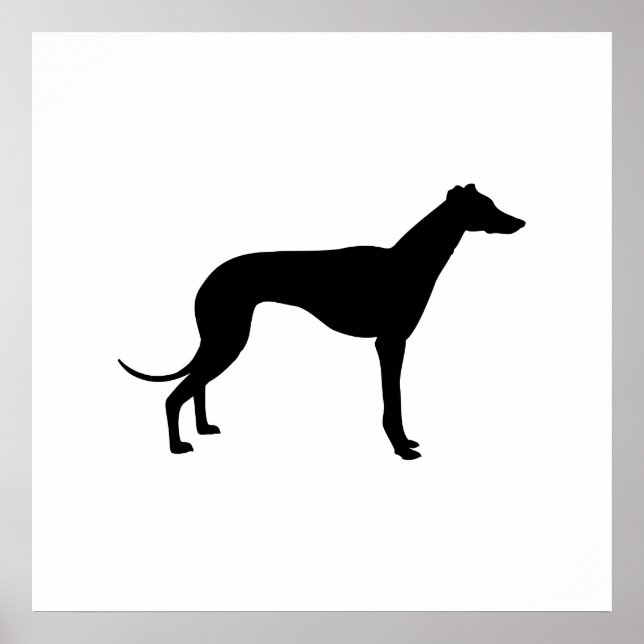 Poster Silhueta de Greyhound (Frente)