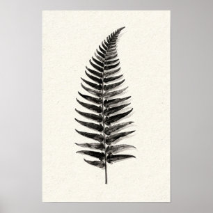 Poster Silhueta de Samambaia Monocromática 12 x 18