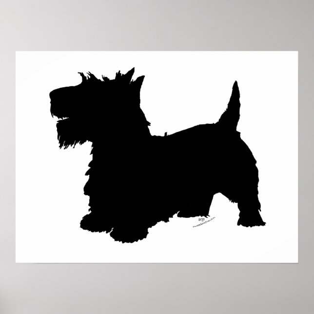 Pôster Silhueta de Terrier Escocês (Frente)