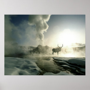 Poster Silhueta do nascer do sol do alce no Castle Geyser