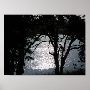 Poster "Silhuetas cintilantes "