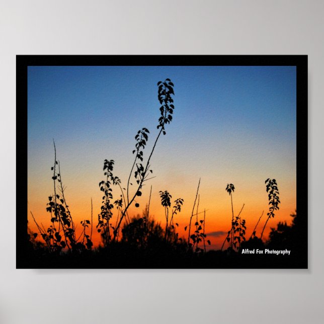Poster Silhuetas de Plantas de Verão (Frente)
