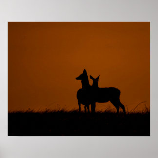 Poster Silhuetas de Veados ao Pôr do Sol Fotografia da Vi