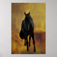 Silhuette de Cavalo Negro