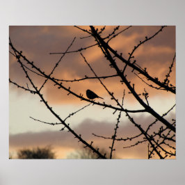 Poster Silhuette solitária