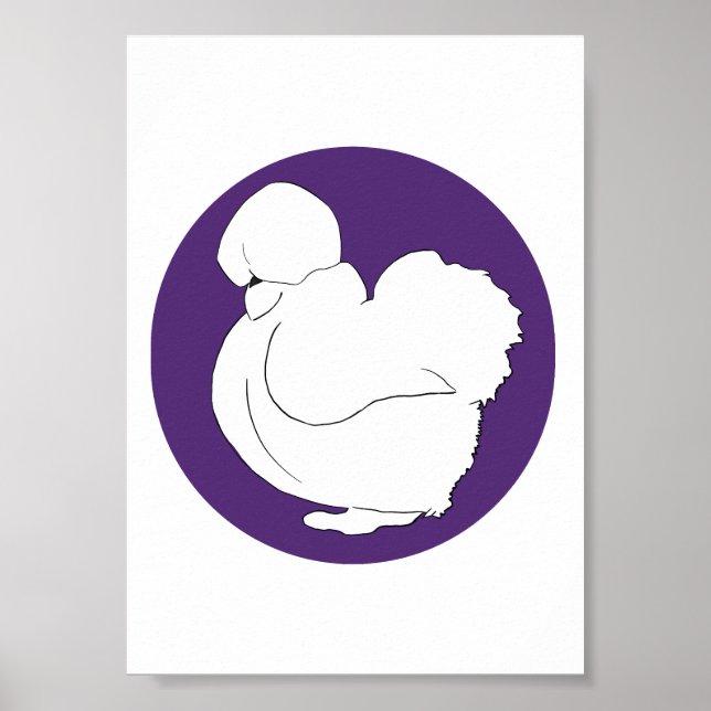 Poster Silkie (Frente)