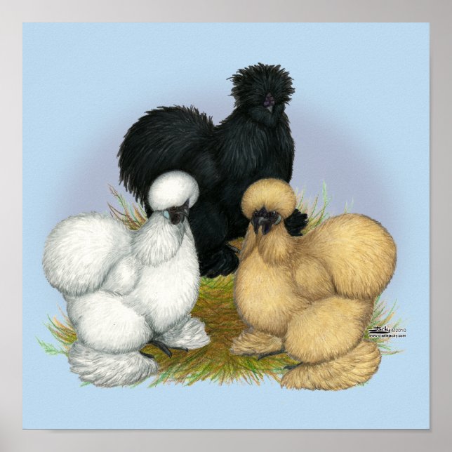 Poster Silkie Trio (Frente)
