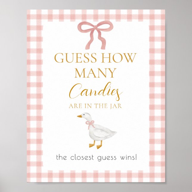 Poster Silly Goose Pink Gingham Guess How Many Game (Frente)