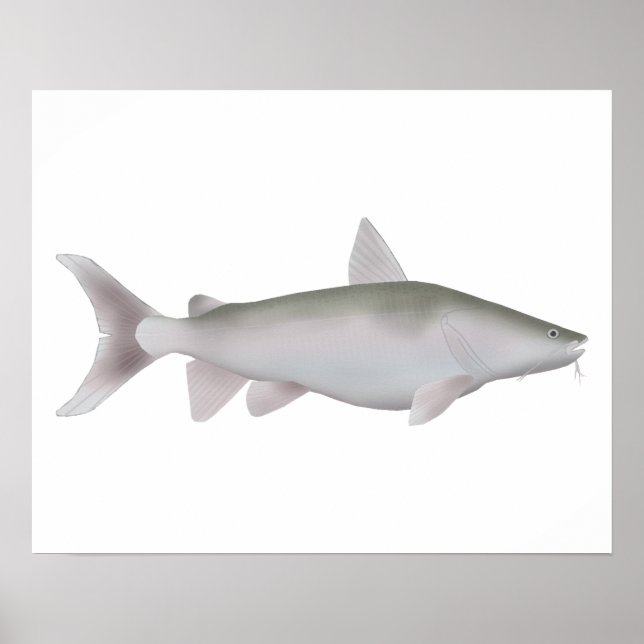 Poster Silver Cobbler (Frente)