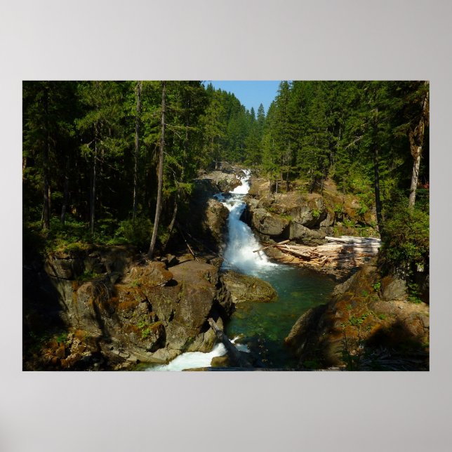 Poster Silver Falls no Parque Nacional do Monte Rainier (Frente)