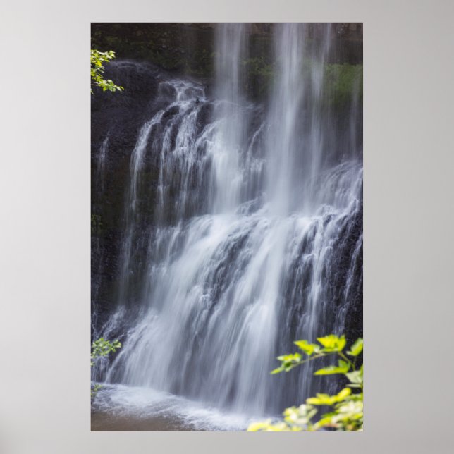 Poster Silver Falls Willamette Valley Oregon Meias Fogas (Frente)