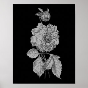 Pôster Silver Peony Sobre Arte Floral Negra