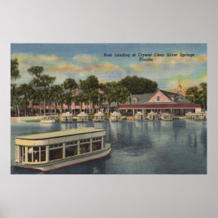 Pôster Silver Springs, FL - opinião do beira-rio do barc