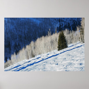 Poster Silver Trees