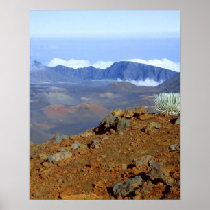 Pôster Silversword on Haleakala Crater Rim from near 2