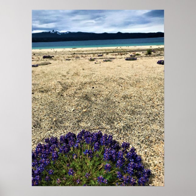 Poster Simax Bay em Crescent Lake, Oregon (Frente)