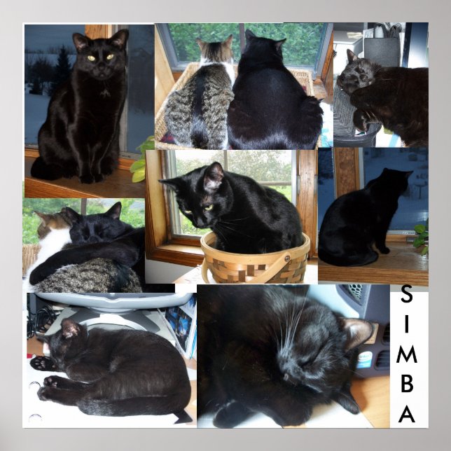 PÔSTER SIMBA (Frente)