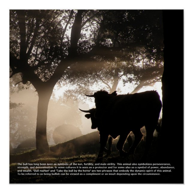 Pôster Símbolo Bull (Frente)