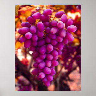 Pôster Símbolo de Chavez das uvas