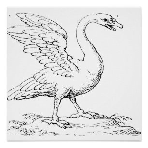 Pôster Símbolo de Cisne de Amor e Fidelidade Arte Refinad