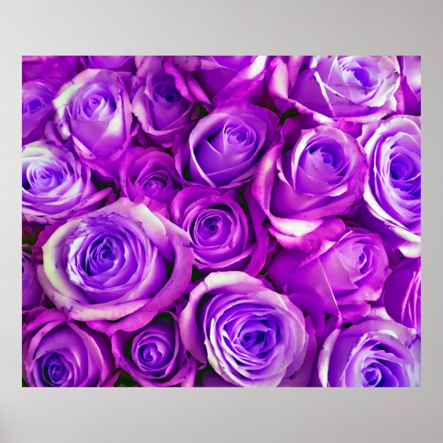 Poster Símbolo de Dia de os namorados de fundo de Rosas B (Frente)